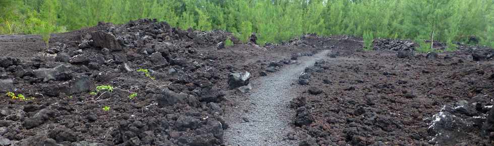 Aot 2014 - Ste-Rose - Sentier littoral - Traverse de la coule de 1977 -