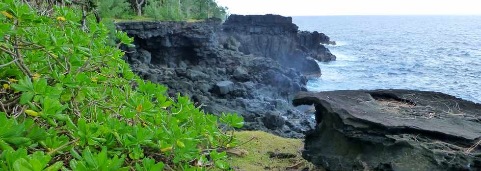 Aot 2014 - Piton Ste-Rose - Sentier littoral -