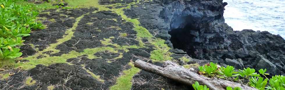 Aot 2014 - Piton Ste-Rose - Sentier littoral -