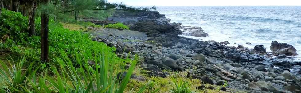 Aot 2014 - Sentier littoral Piton Ste-Rose -