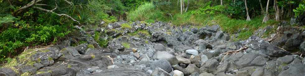 Aot 2014 - Sentier littoral Piton Ste-Rose - Ravine Bellevue