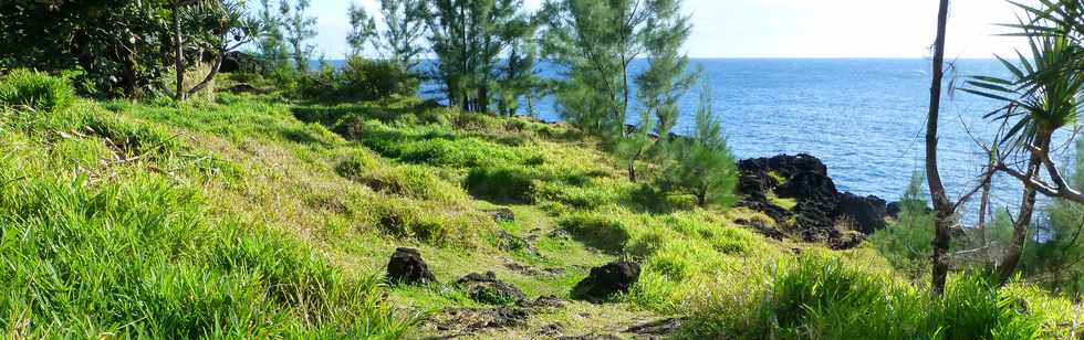 Aot 2014 - Ste-Rose - Sentier littoral de Ravine Glissante  la Marine -