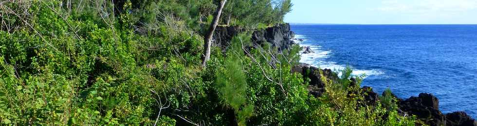 Aot 2014 - Ste-Rose - Sentier littoral de Ravine Glissante  la Marine -