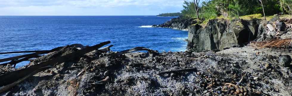 Aot 2014 - Ste-Rose - Sentier littoral de Ravine Glissante  la Marine -