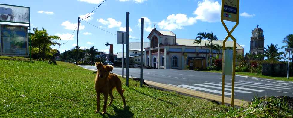 Aot 2014 - Piton Ste-Rose - Chien