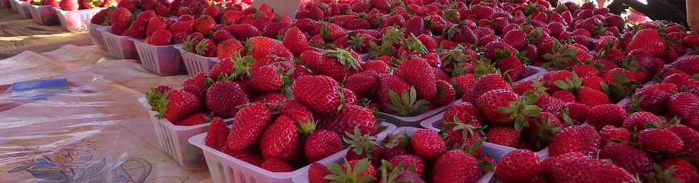 13 septembre 2014 - March forain de St-Pierre -  Fraises