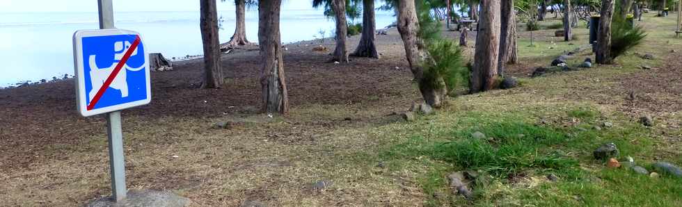 26 septembre 2014 - St-Leu - Pas de chien sur la plage