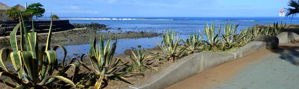 26 septembre 2014 - St-Leu - Littoral - Ravine du Grand Etang