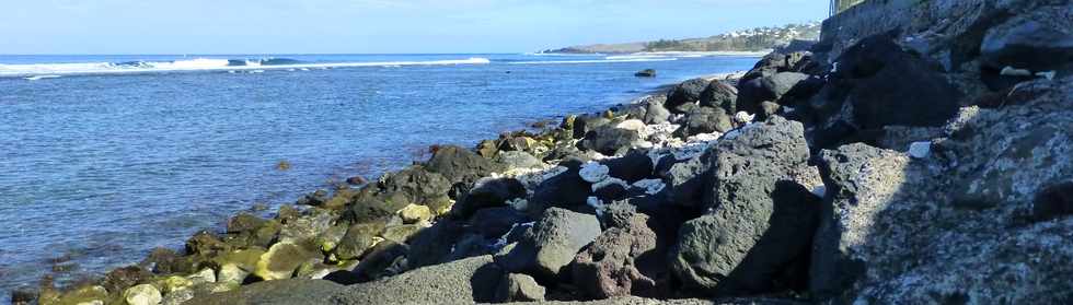 26 septembre 2014 - St-Leu - Littoral nord - Cayenne