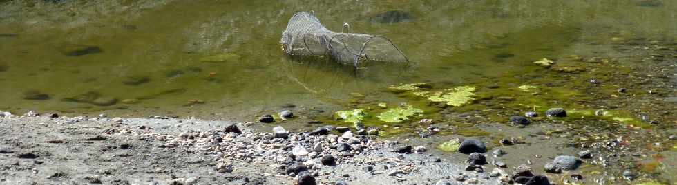 26 septembre 2014 - St-Leu - Ravine de la Fontaine