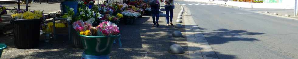 26 septembre 2014 - St-Leu - Fleurs La Salette