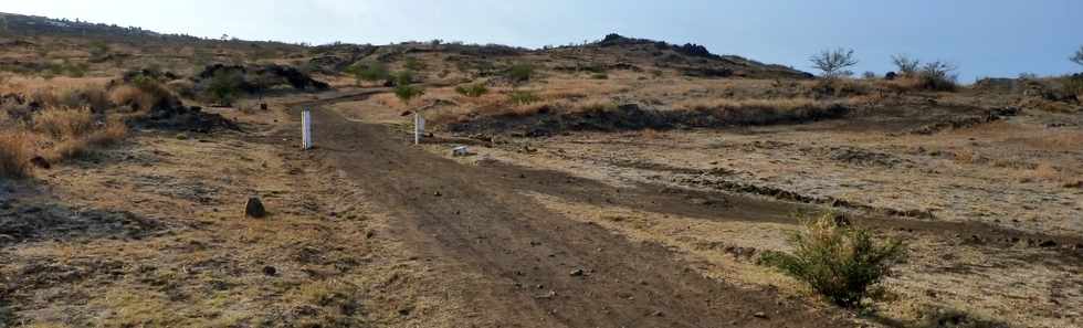 17 octobre 2014 - Saint-Leu - Pointe du Sel vers le Piton des Roches Tendres -