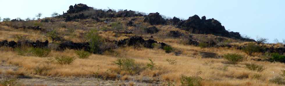 17 octobre 2014 - Saint-Leu - Pointe du Sel vers le Piton des Roches Tendres -