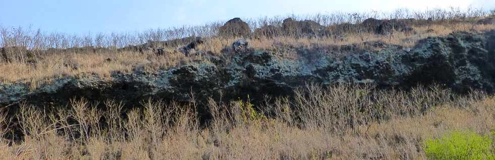 17 octobre 2014 - Saint-Leu - Vers le Piton des Roches Tendres - Cratre