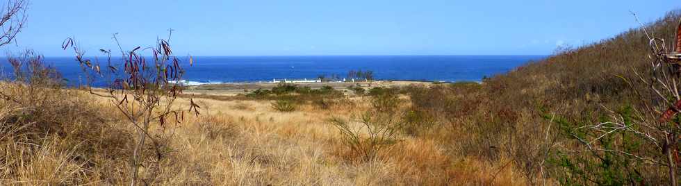 17 octobre 2014 - Saint-Leu - Vers le Piton des Roches Tendres -