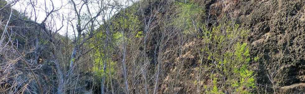 17 octobre 2014 - Saint-Leu - Vers le Piton des Roches Tendres - Intrieur du cratre -