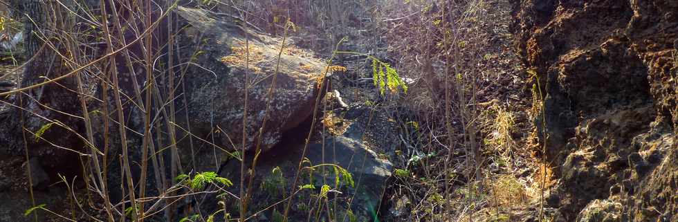 17 octobre 2014 - Saint-Leu - Vers le Piton des Roches Tendres - Intrieur du cratre -