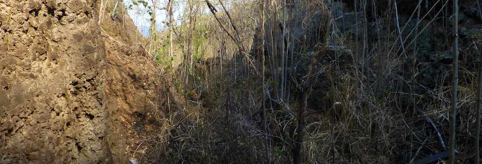 17 octobre 2014 - Saint-Leu - Vers le Piton des Roches Tendres - Intrieur du cratre -