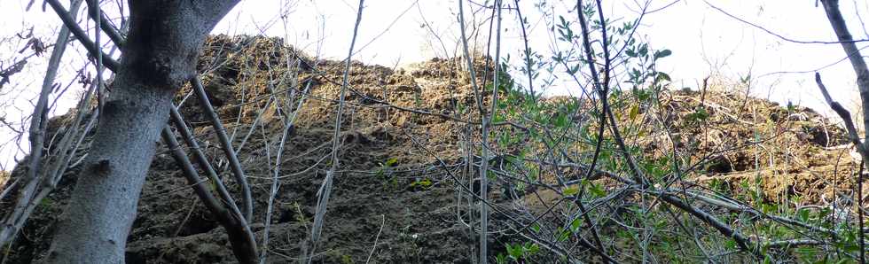 17 octobre 2014 - Saint-Leu - Vers le Piton des Roches Tendres - Intrieur du cratre -