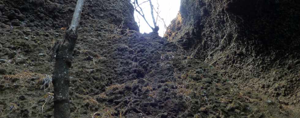 17 octobre 2014 - Saint-Leu - Vers le Piton des Roches Tendres - Intrieur du cratre -