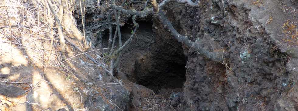 17 octobre 2014 - Saint-Leu - Vers le Piton des Roches Tendres - Intrieur du cratre -