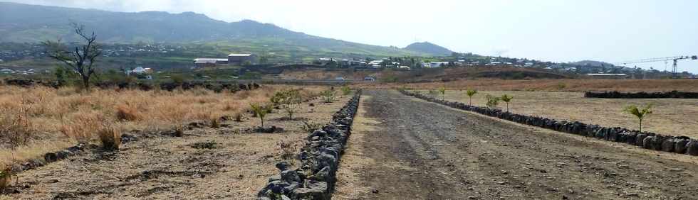 17 octobre 2014 - Saint-Leu - Aire amnage du Piton des Roches Tendres -