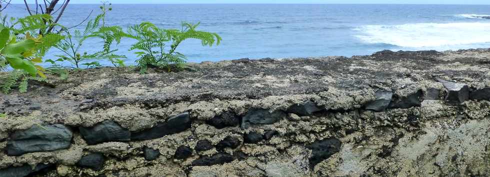 30 novembre 2014 - La Pointe du Diable, un site naturel remarquable - Histoire gologique rcente et aspects humains - Ple Valorisation du patrimoine - St-Pierre