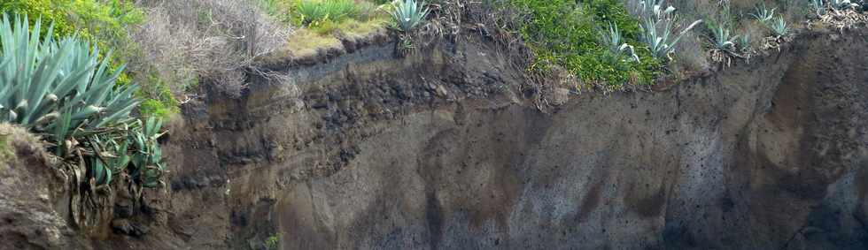 30 novembre 2014 - La Pointe du Diable, un site naturel remarquable - Histoire gologique rcente et aspects humains - Ple Valorisation du patrimoine - St-Pierre