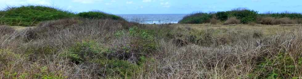 30 novembre 2014 - La Pointe du Diable, un site naturel remarquable - Histoire gologique rcente et aspects humains - Ple Valorisation du patrimoine - St-Pierre