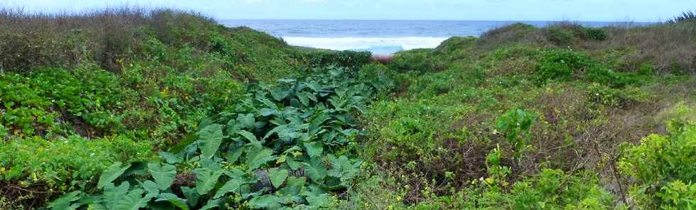 30 novembre 2014 - La Pointe du Diable, un site naturel remarquable - Histoire gologique rcente et aspects humains - Ple Valorisation du patrimoine - St-Pierre