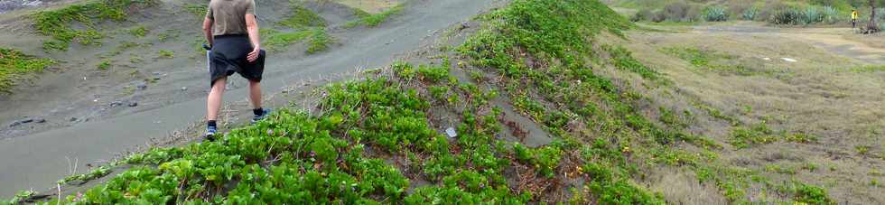 30 novembre 2014 - La Pointe du Diable, un site naturel remarquable - Histoire gologique rcente et aspects humains - Ple Valorisation du patrimoine - St-Pierre - Dunes de sable de Saline Balance -