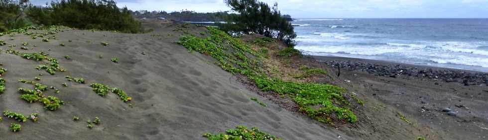 30 novembre 2014 - La Pointe du Diable, un site naturel remarquable - Histoire gologique rcente et aspects humains - Ple Valorisation du patrimoine - St-Pierre - Dunes de sable de Saline Balance -