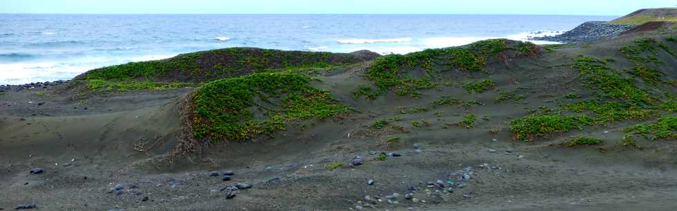 30 novembre 2014 - La Pointe du Diable, un site naturel remarquable - Histoire gologique rcente et aspects humains - Ple Valorisation du patrimoine - St-Pierre - Dunes de sable de Saline Balance -