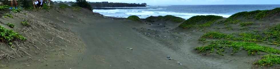 30 novembre 2014 - La Pointe du Diable, un site naturel remarquable - Histoire gologique rcente et aspects humains - Ple Valorisation du patrimoine - St-Pierre - Dunes de sable de Saline Balance -