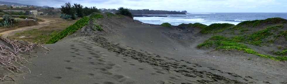 30 novembre 2014 - La Pointe du Diable, un site naturel remarquable - Histoire gologique rcente et aspects humains - Ple Valorisation du patrimoine - St-Pierre - Dunes de sable de Saline Balance -