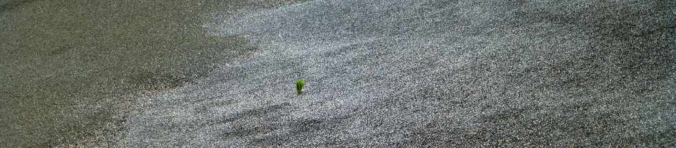 30 novembre 2014 - La Pointe du Diable, un site naturel remarquable - Histoire gologique rcente et aspects humains - Ple Valorisation du patrimoine - St-Pierre - Dunes de sable de Saline Balance -