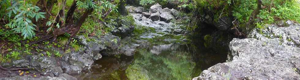 Janvier 2015 - St-Philippe - Ravine Pont Rouge -