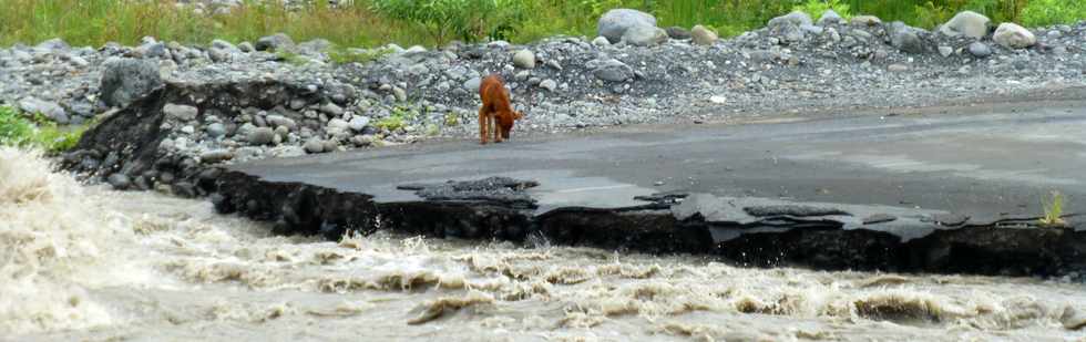 8 mars 2015 - Crue du Bras de Cilaos - Radier du Ouaki emport