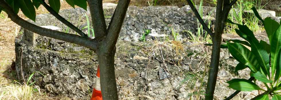 23 mars 2015 - St-Pierre - Maison Canonville - Fouilles d'archologie prventive de l'INRA