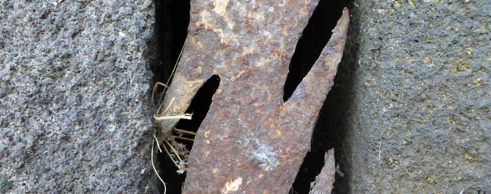 23 mars 2015 - St-Pierre - Maison Canonville - Fouilles d'archologie prventive de l'INRA