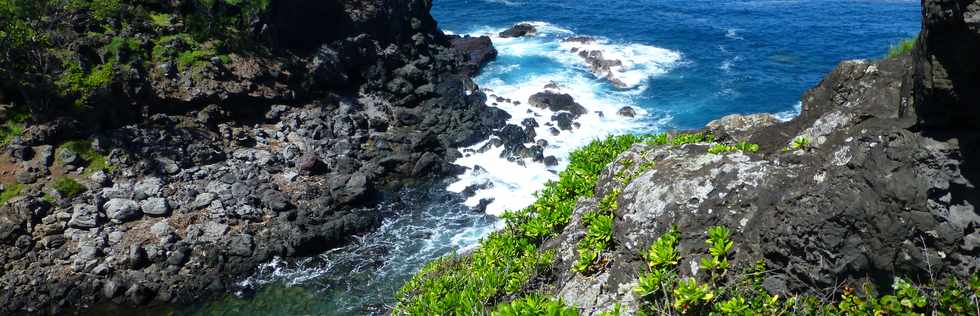 16 avril 2015 - St-Pierre - Pointe de la Ravine des Cafres - Bassin Dix-huit