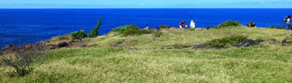 16 avril 2015 - St-Pierre - Pointe de la Ravine des Cafres -