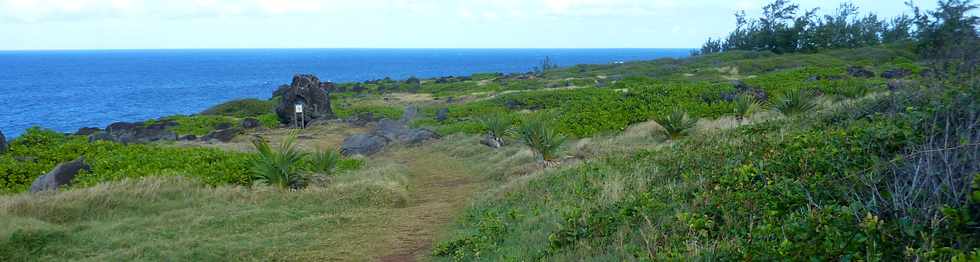 29 mai 2015 - St-Pierre - Site naturel protg de Terre Rouge -