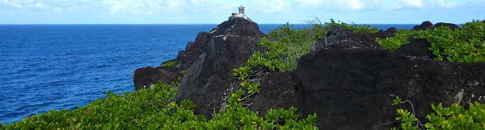 29 mai 2015 - St-Pierre - Site naturel protg de Terre Rouge -