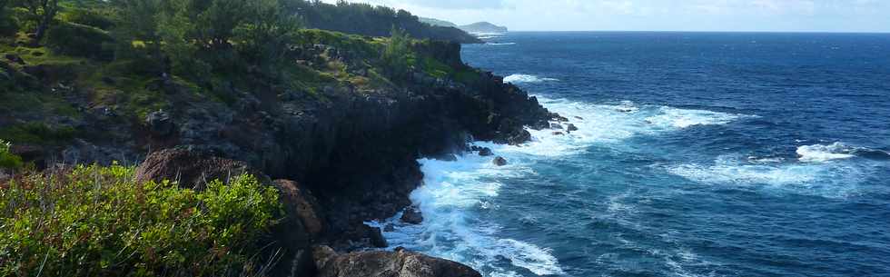 29 mai 2015 - St-Pierre - Site naturel protg de Terre Rouge -  Littoral vers Petite-le