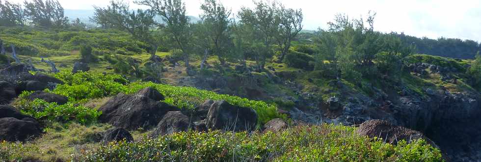 29 mai 2015 - St-Pierre - Site naturel protg de Terre Rouge -