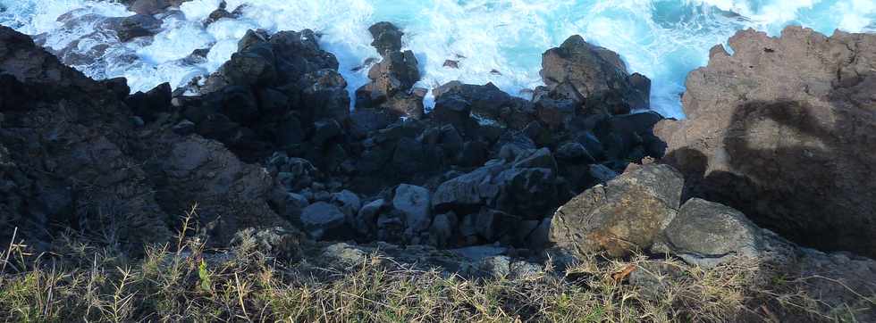 29 mai 2015 - St-Pierre - Site naturel protg de Terre Rouge -  Bas de falaise