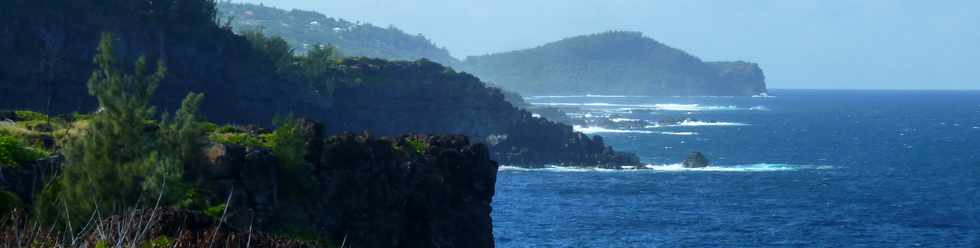 29 mai 2015 - St-Pierre - Site naturel protg de Terre Rouge -  Vers le Piton Grande Anse