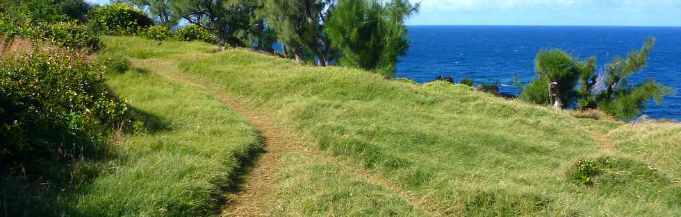 29 mai 2015 - St-Pierre - Site naturel protg de Terre Rouge -