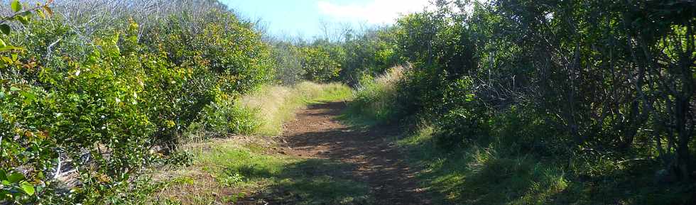 29 mai 2015 - St-Pierre - Site naturel protg de Terre Rouge -